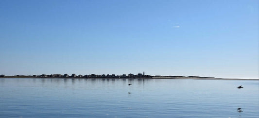 Cape Cod Fly Fishing Guide & Report May 9th - 15th: