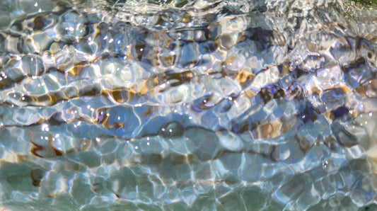 Back To Basics: Sight Fishing for Striped Bass on Cape Cod