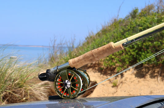 Cape Cod Fly Fishing Guide & Report May 29th - June 5th: