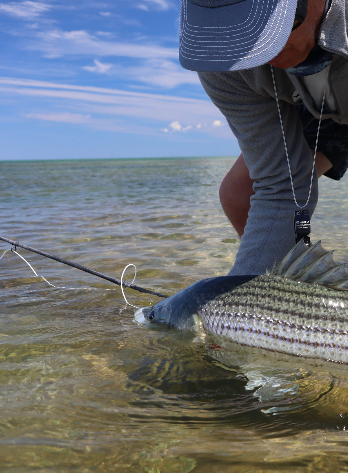 Northeast Sinking Striped Bass Kit