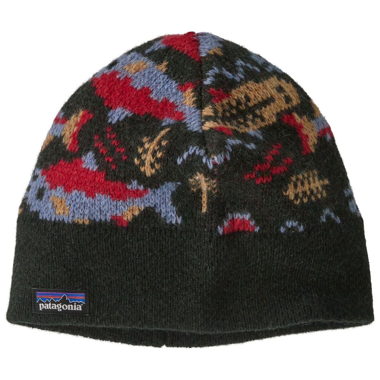 Patagonia Fun Hog Beanie