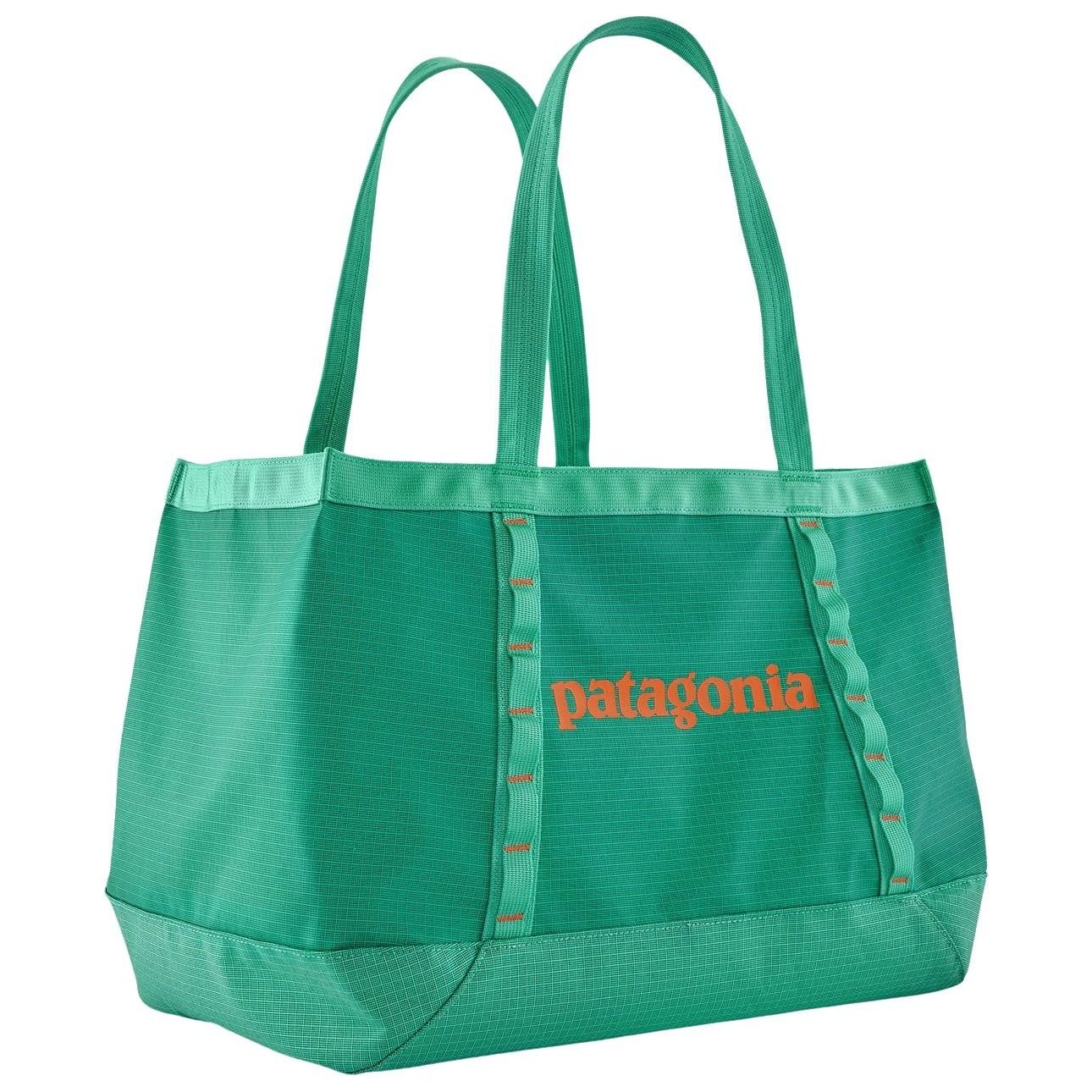 Patagonia Black Hole Tote 25L