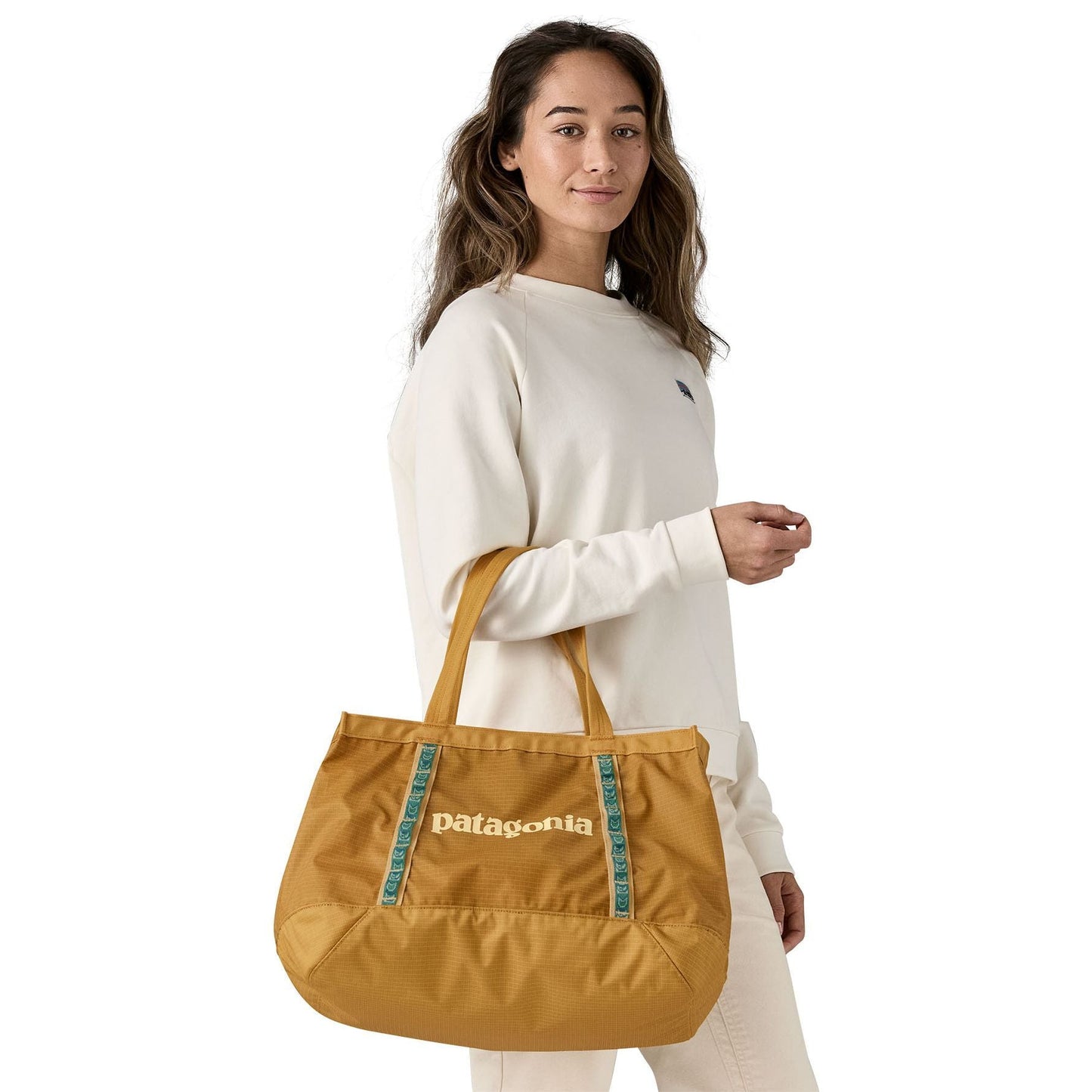 Patagonia Black Hole Tote 25L