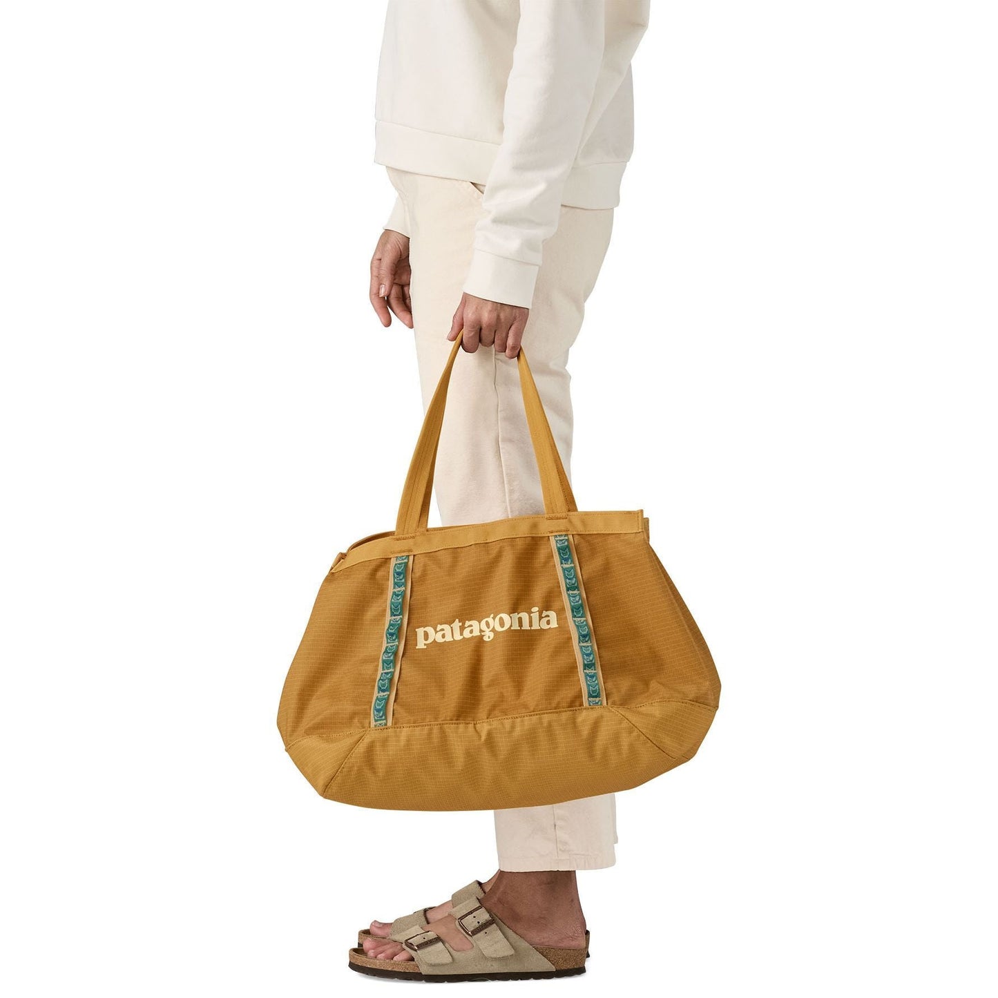 Patagonia Black Hole Tote 25L