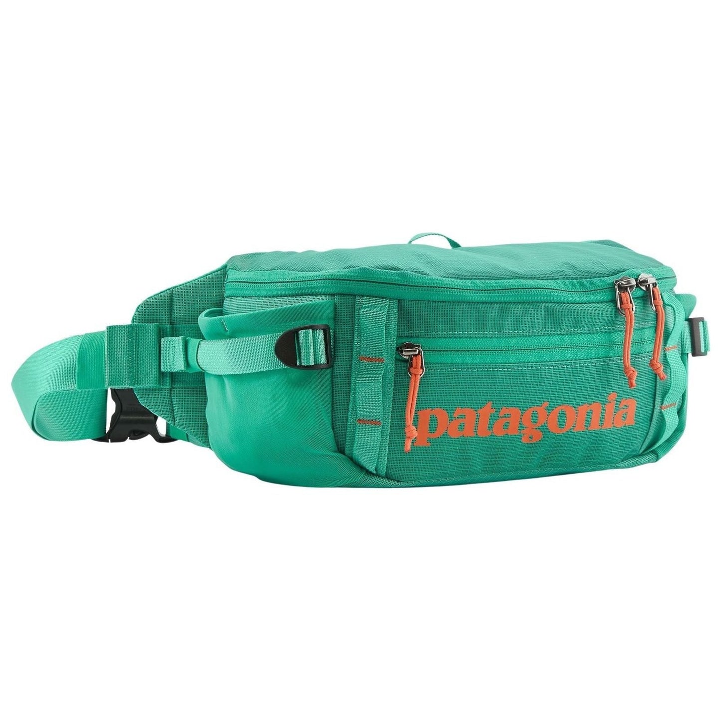 Patagonia Black Hole Waist Pack 5L