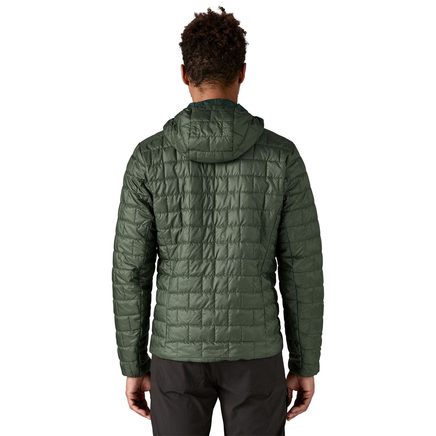 Patagonia Men's Nano Puff Fitz Roy Trout Hoody