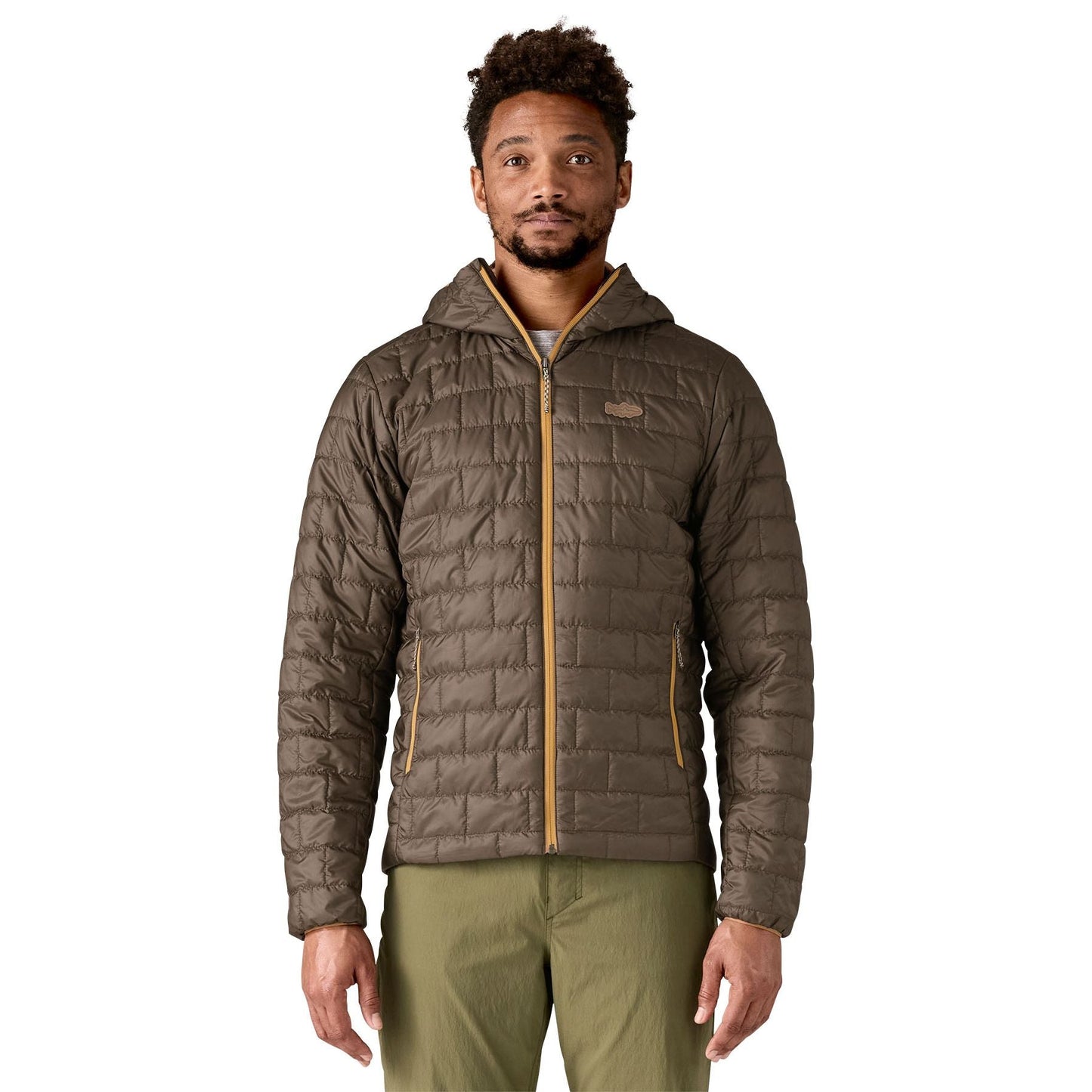 Patagonia Men's Nano Puff Fitz Roy Trout Hoody