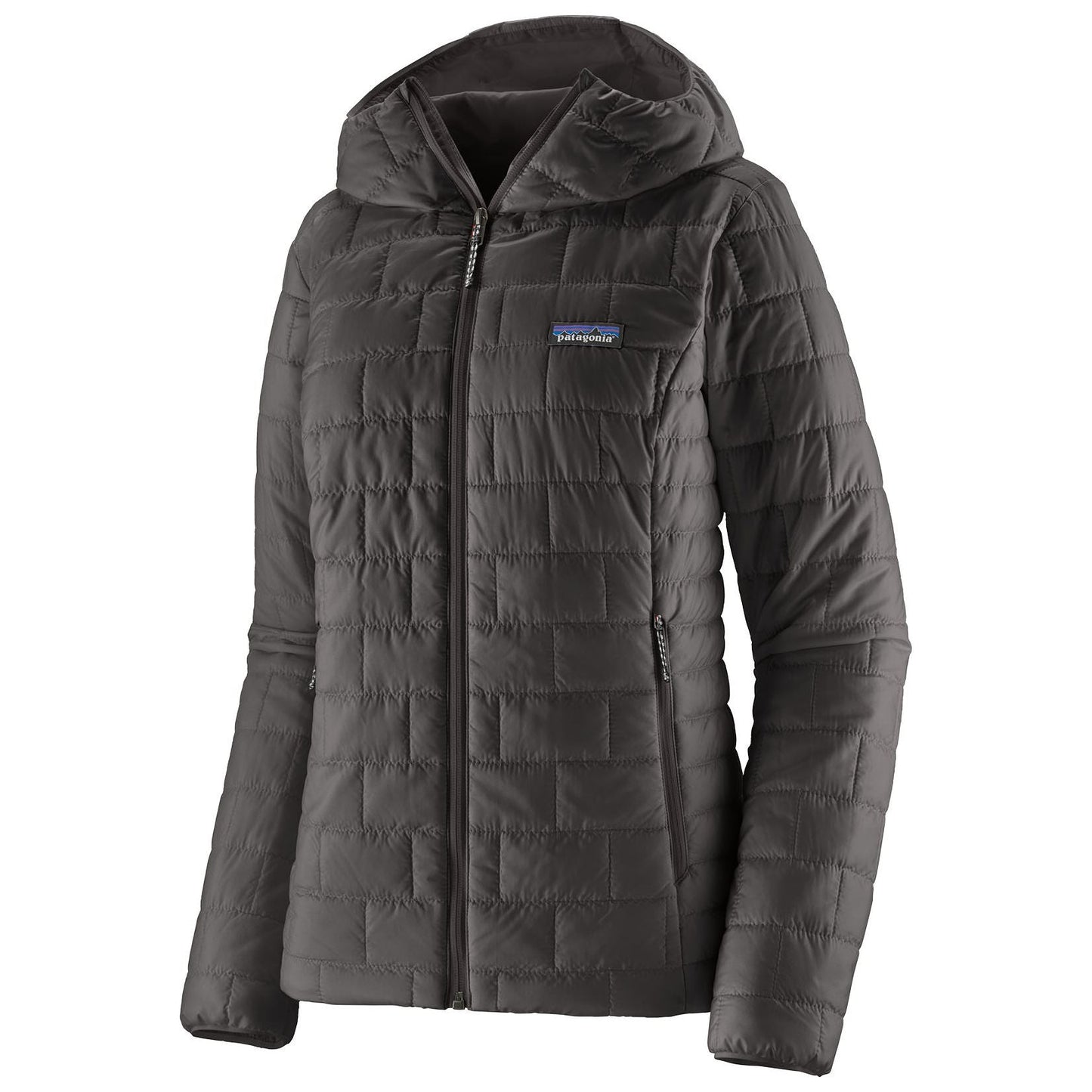 Patagonia Women's Nano Puff Hoody