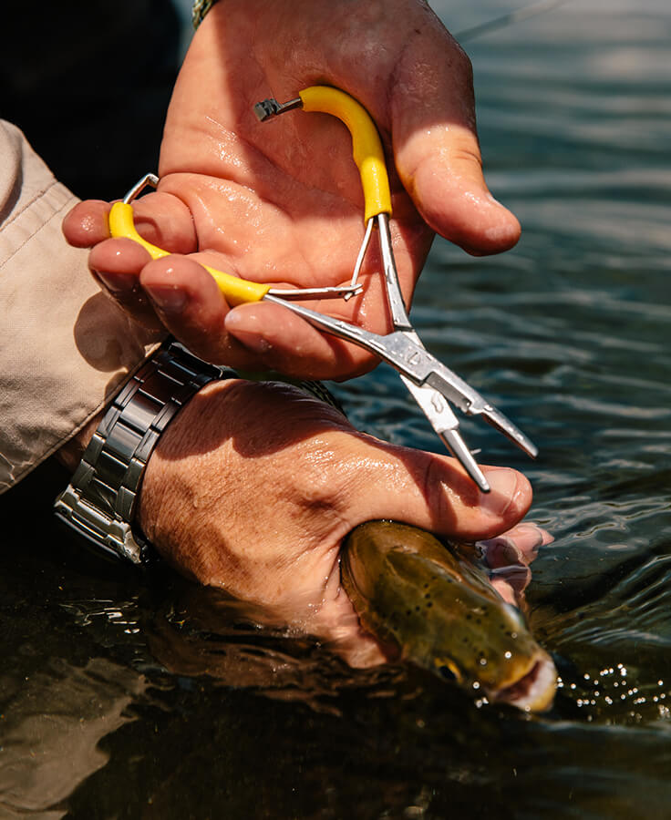 LOON CLASSIC MITTEN SCISSOR CLAMPS